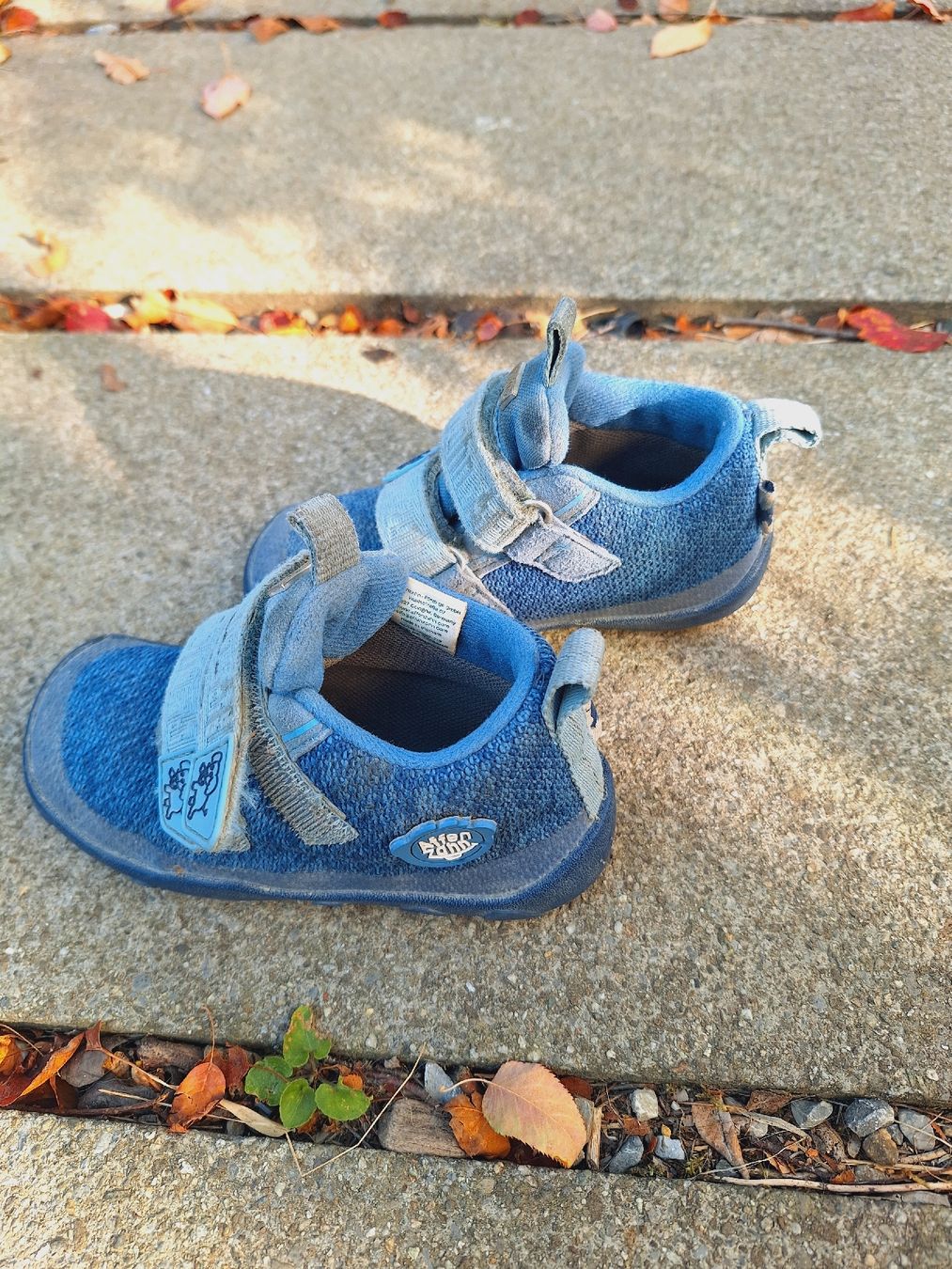 Affenzahn Schuhe für Jungen: Affenzahn gr 25 blau – Gebraucht aus Winterthur von pat.paw 1