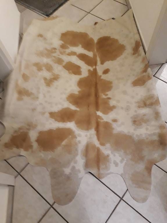 Tappeti: Braun-weisses Kuhfell, ca. 3 m2 – Usato da Gunzgen venduto da Isicroft