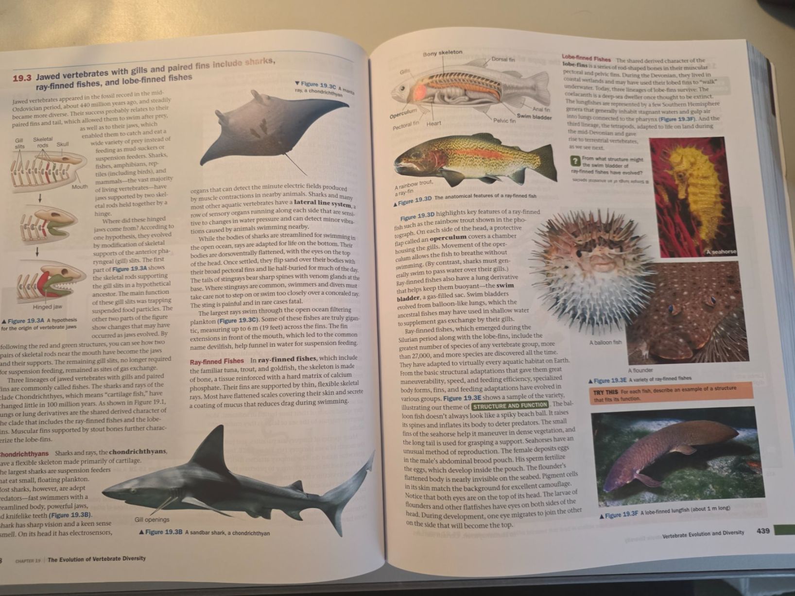 Libri: Campbell Biology - Concepts & Connections NEU – Nuovo (secondo la descrizione) da Zürich venduto da Rakunyo 4
