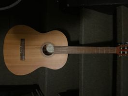 Fender Akustikgitarre ESC105 - Top Zustand
