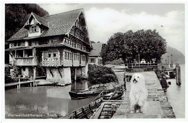 Cartoline postali: Vierwaldstättersee, Treib,  1937 – Usato da Flims - Dorf venduto da Stagediver