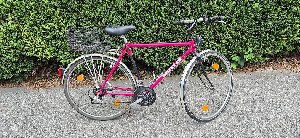 Wheeler Vélos: Velo – D'occasion à Schänis par 1234567890ABCDEF 2