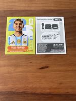 Panini ARG 11
