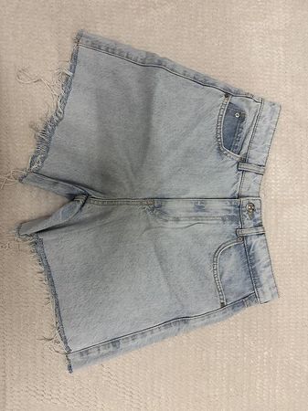 Zara Shorts