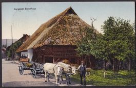 Aargauer Bauernhaus Strohdachhaus mit Ochsengespann
