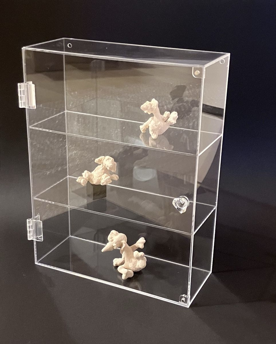 Vetrine: Neue Acrylvitrine (feiner 1cm Kratzer in Front) – Nuovo e nell'imballaggio originale da Bremgarten AG venduto da merlindimi