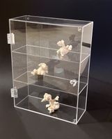 Neue Acrylvitrine mit Aufhängelöchern