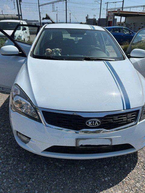 Kia Autos: KIA cee'd 1.4 ISG – D'occasion à Oensingen par Konkursamt_SO 2