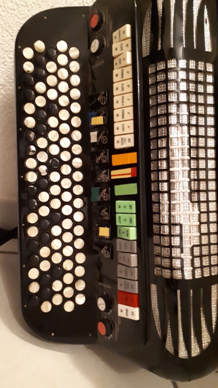 Excelsior Strumenti musicali: Excelsior – Usato da ipsach venduto da alf113