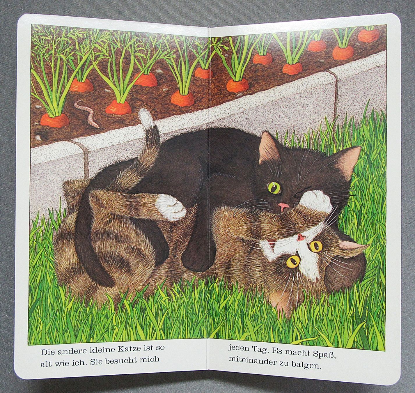 Libri: Ich bin die kleine Katze - Bilderbuch - kartonierte Seiten – Usato da Auenstein venduto da Padabimbim 7