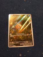 Barschwa/Feebas Illustration Rare (DE) Surging Sparks 198