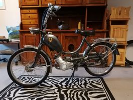 Pony Junior M Sachs 502 inkl. Fahrzeugausweis
