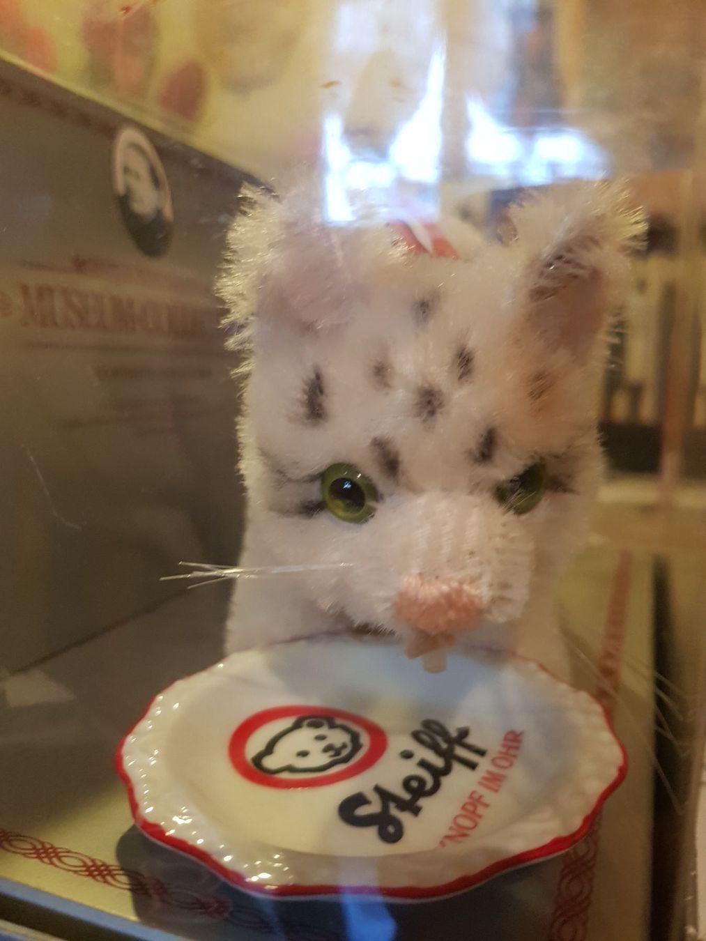 Steiff Giocattoli: STEIFF KATZE – Nuovo e nell'imballaggio originale da GLARUS venduto da Glarus4 2