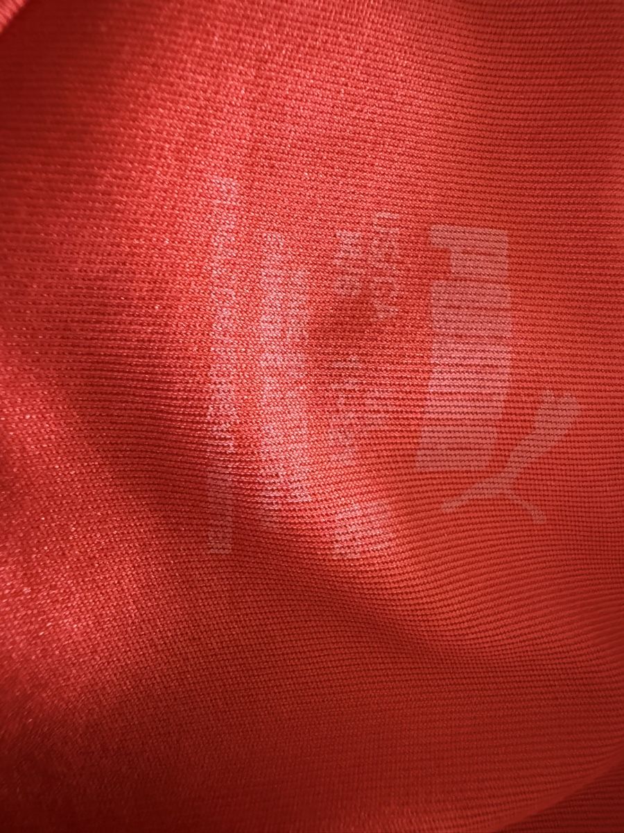 Puma Scarpe, pantaloni & magliette da ginnastica: Schweizer Nati Shirt und Hose – Usato da Hirzel venduto da Kuba14 2