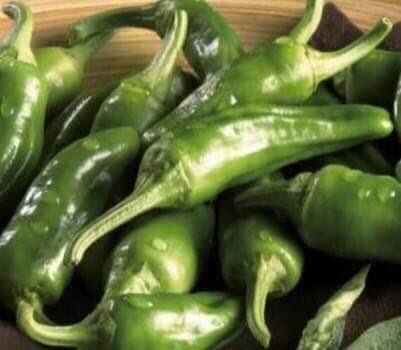 Pflanzen & Samen: 50 SAMEN Paprika FRIGITELLO Piment doux vert – Neu und originalverpackt aus Rovio von POSITIFFARTandPLANTS 5