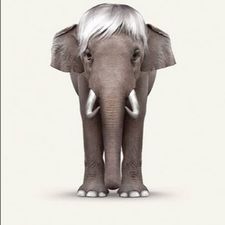 Profile image of mepoco