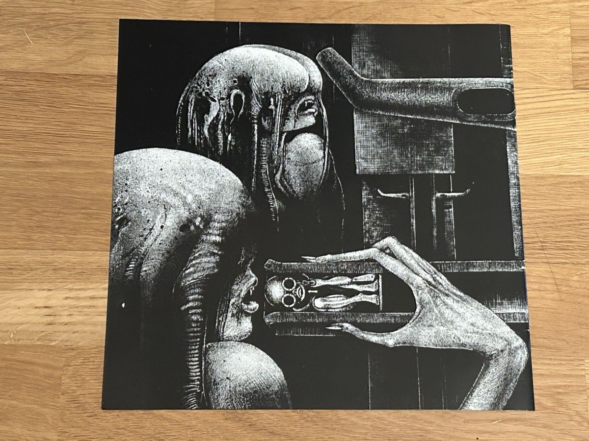 Dischi in vinile: Shiver. 2017. Limited Edition Numbered 492/1000 – Usato da Faulensee venduto da Mizuno06 6