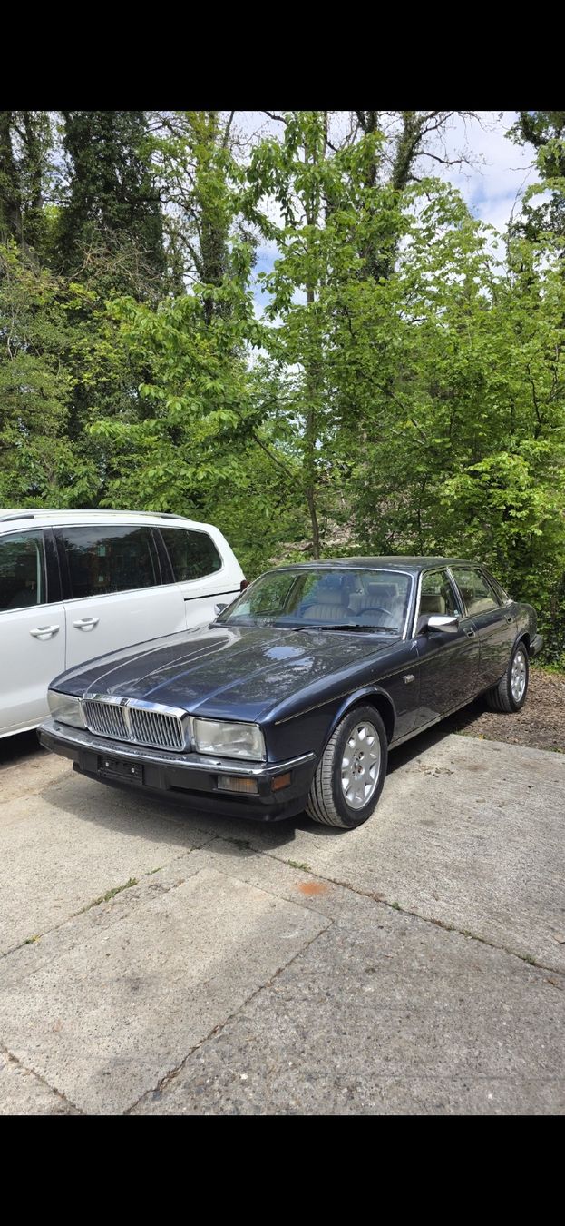 Jaguar Autos: Jaguar xj40 – Gebraucht aus Dompierre VD von sam_6fjz