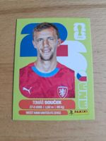 Panini WM 2026 CZE 12