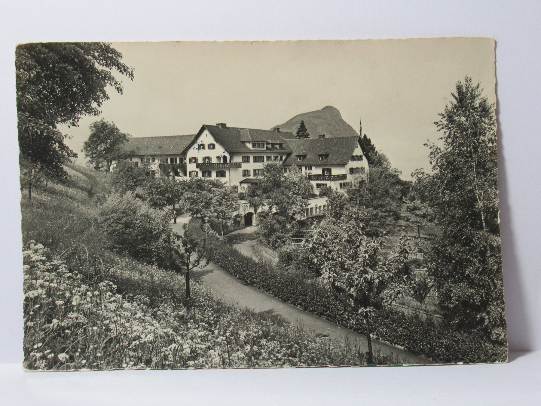 Cartoline postali: Ferienheim S. M. U. V. Vitznau 1950 – Usato da Grenchen venduto da Bluemchen1900 1