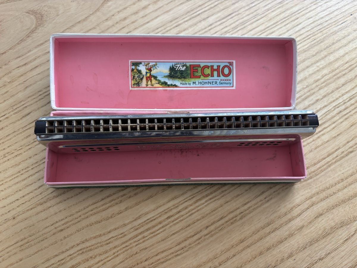 Hohner Strumenti musicali: The Echo Harp Mundharmonika – Usato da Buchs SG venduto da Ugly_Moe 2