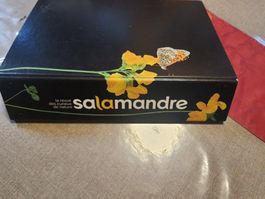 classeur à revue
