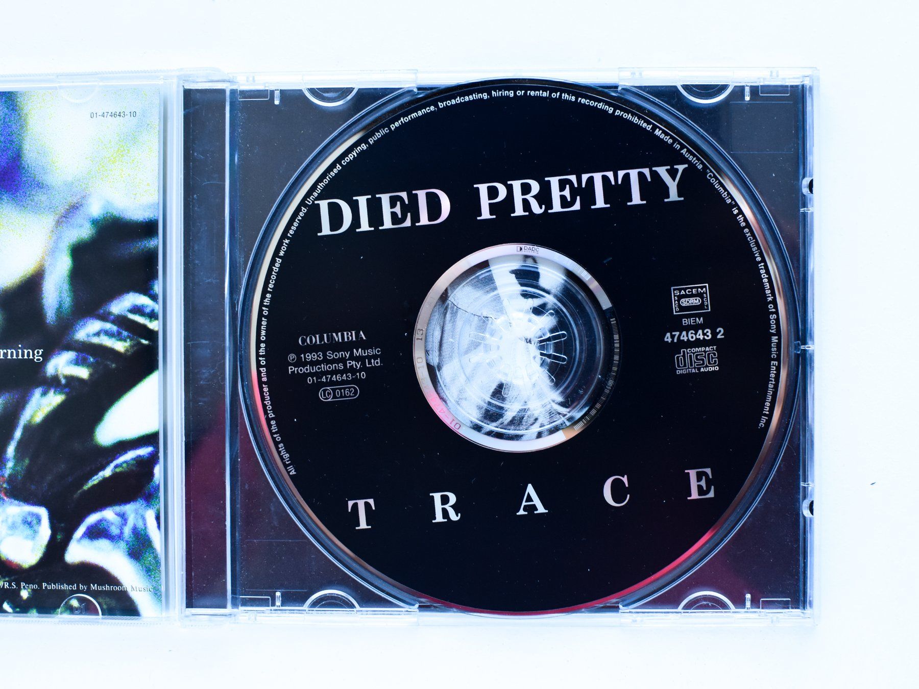 CD: Died Pretty - Trace – Usato da Belmont-sur-Yverdon venduto da ag97 1