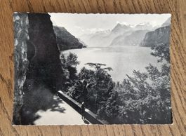AK: Axenstrasse am Urnersee,  Photo Ozto Pfeifer