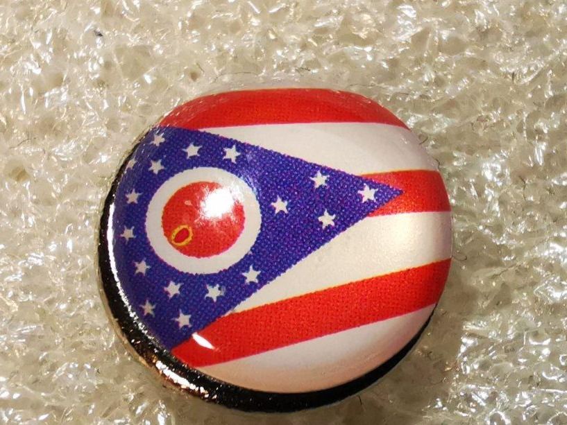 Placchette & Badge: Ansteckpin 2: US Bundesstaat – Usato da Oppligen venduto da Pin-Fall-Shop