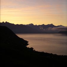 Profile image of viv_lfd5