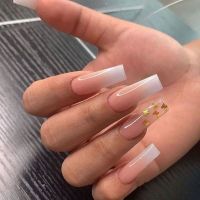 Nail Dual Tips Square