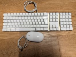 Original Apple Tastatur und Maus