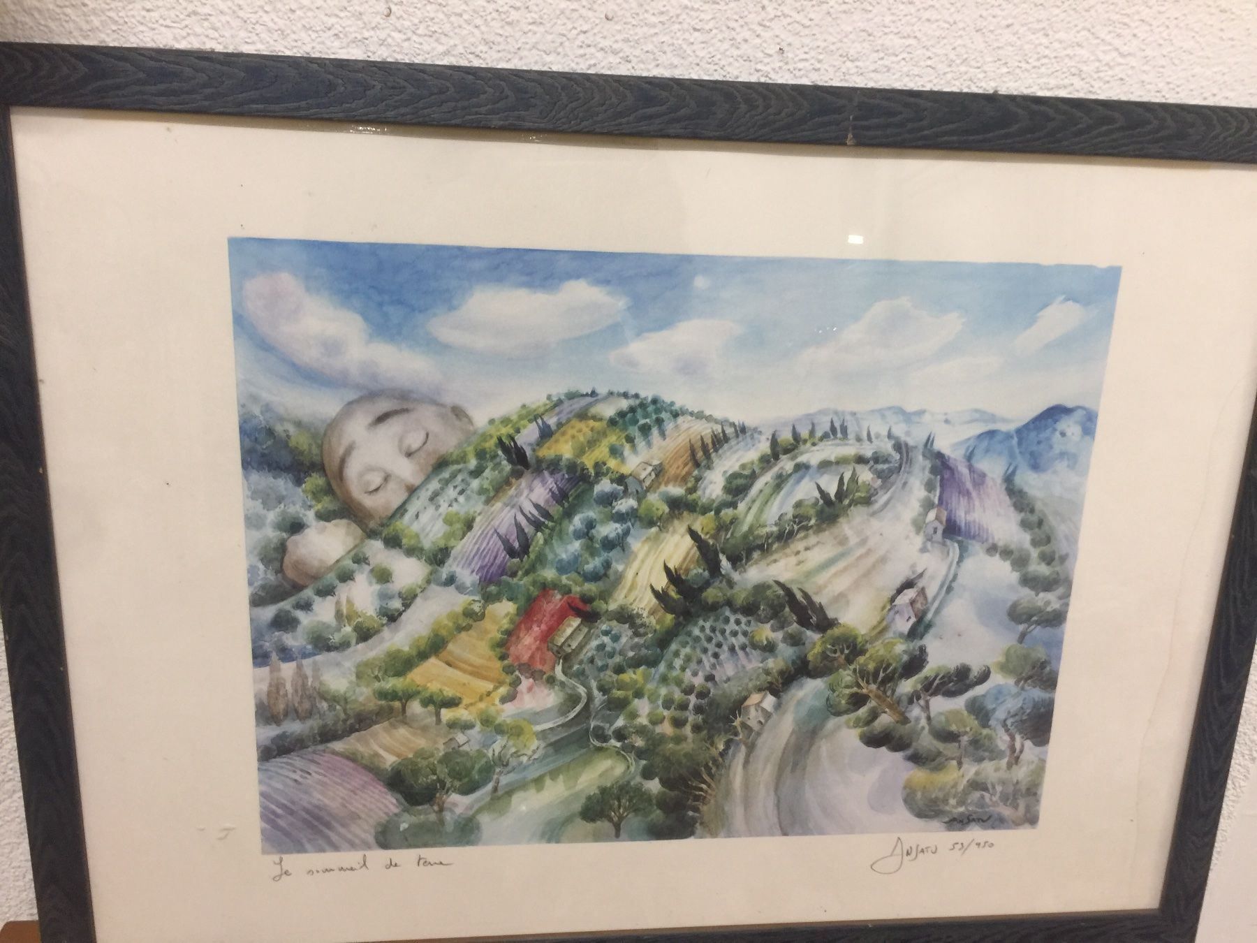 Tableaux: Ansatu Schlumberger Gemälde – D'occasion à Dietikon par brocki-eyra 8