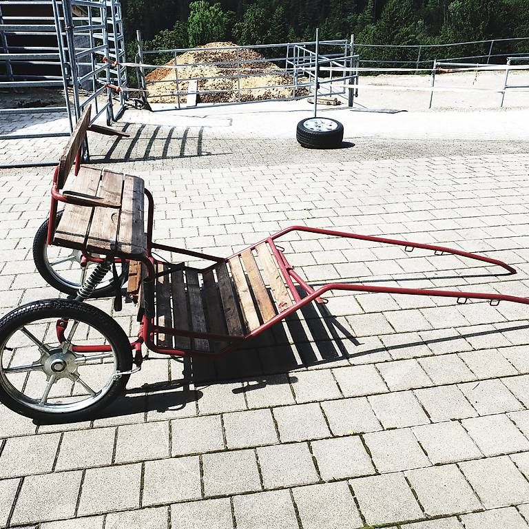 Carrozze: Ponywägeli – Usato da Herisau venduto da hrs_9cbp 4