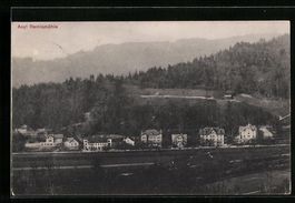 AK Remismühle, Asyl Remismühle, 1910