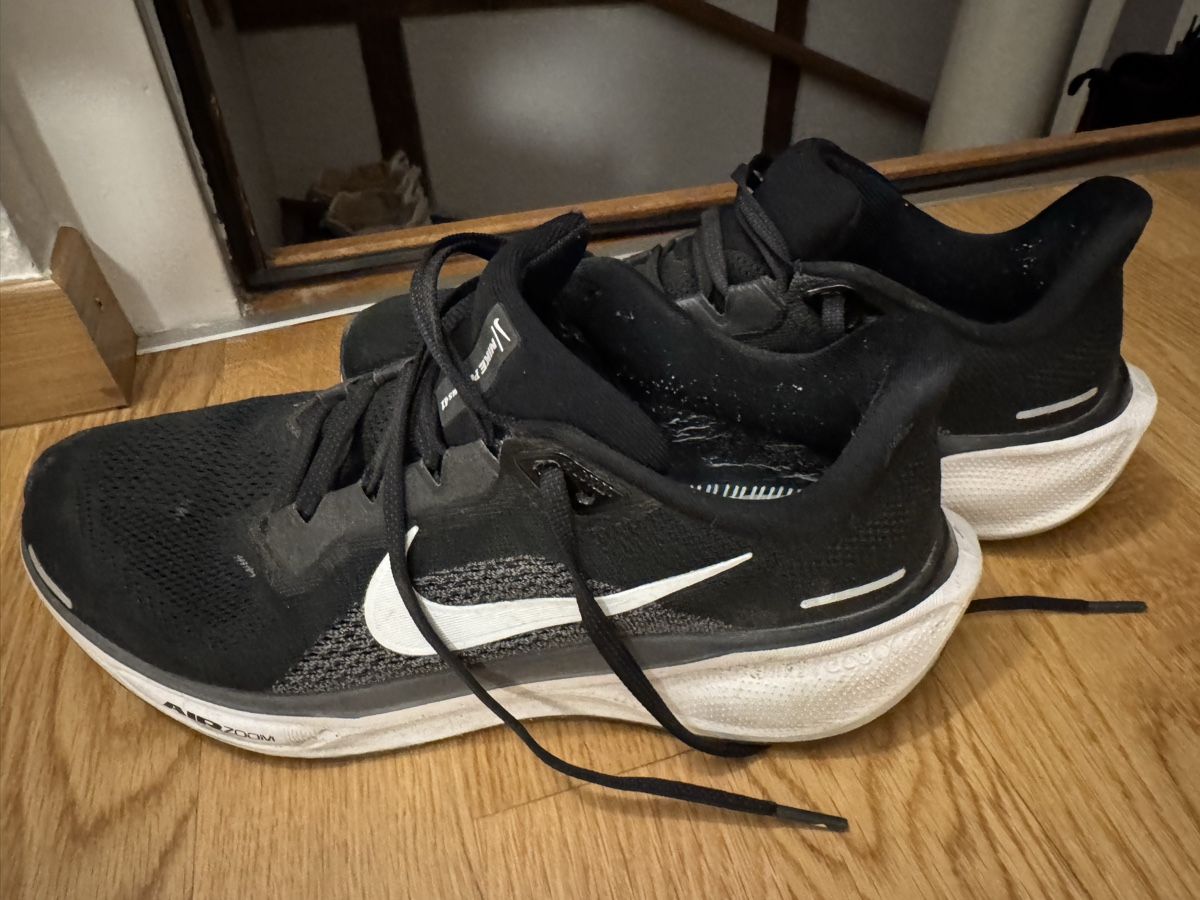Nike Chaussures femmes: Nike Pegasus Air Zoom gebraucht – D'occasion à Chur par julia.hofer
