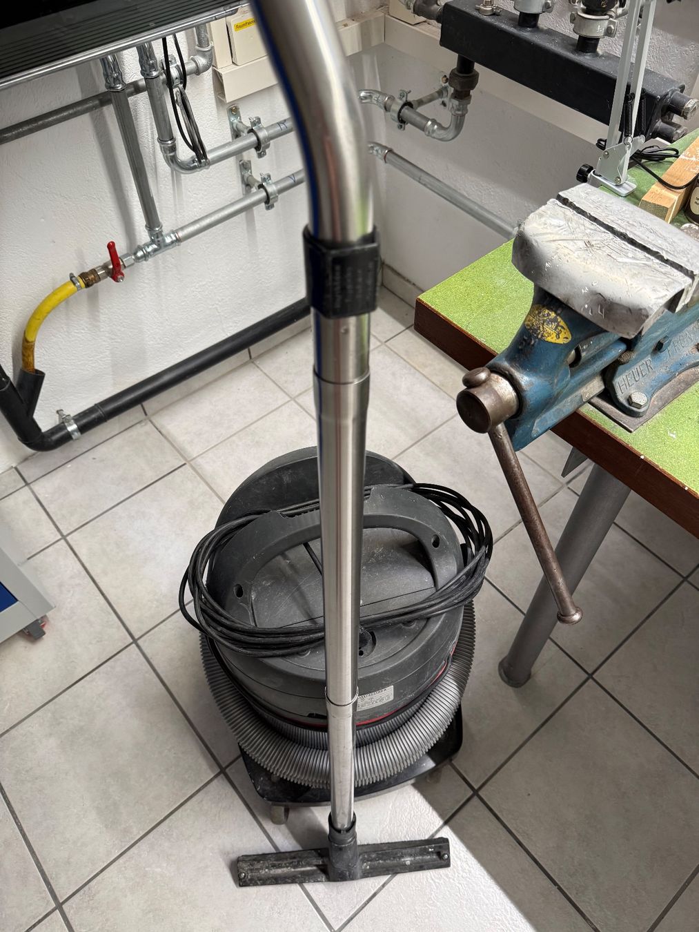 Staubsauger & Zubehör: Staub und Wassersauger – Gebraucht aus Lenzburg von Balubalu66