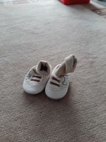 Baby Finken