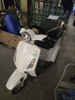 Elektro Dreiradroller E3800, wenig km, Top Zustand!