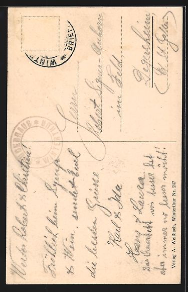 Cartoline postali: AK Winterthur, Bruderhaus mit Wildpark – Usato da Berlin venduto da bartko-reher 1