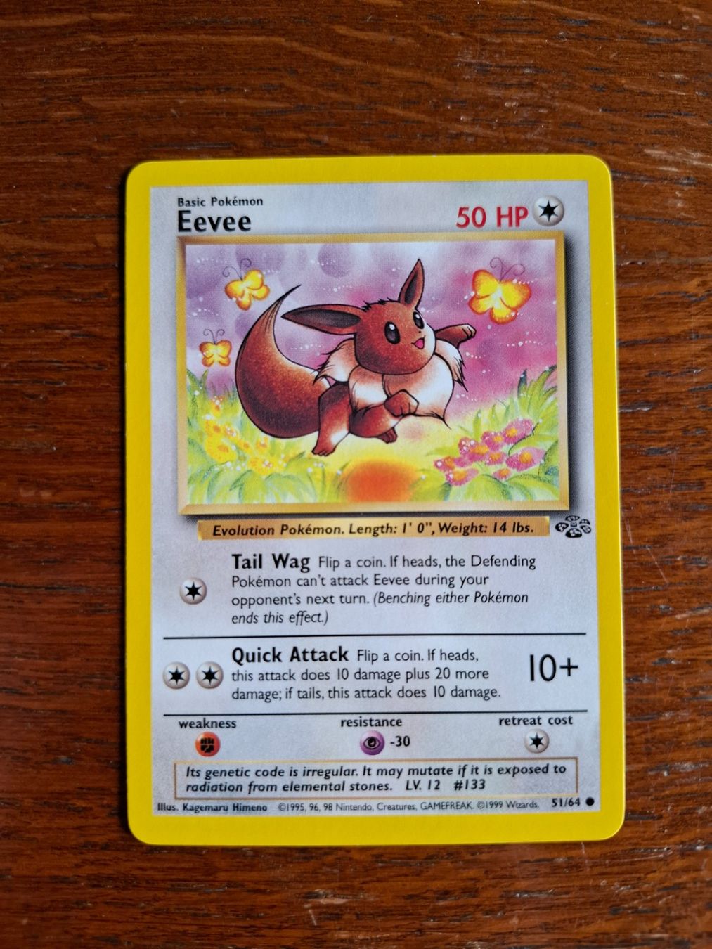 Pokémon Carte collezionabili: Pokemon Eevee Jungle Set 51/64 – Usato da Giornico venduto da ale_lc8k