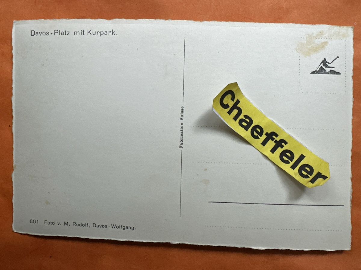 Cartoline postali: Alte Ansichtskarte Davos mit Kurpark – Usato da Zürich venduto da Chaeffeler 1