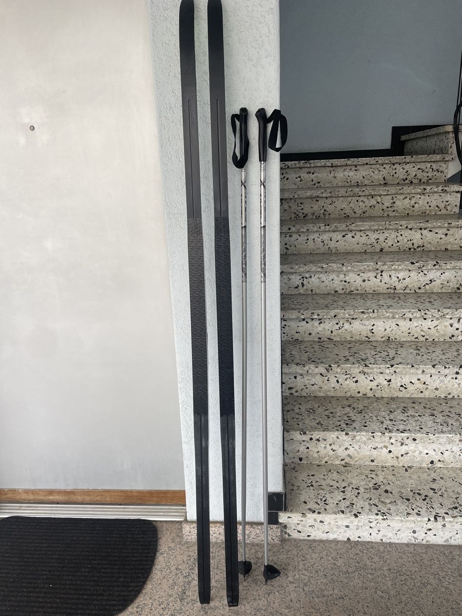 Skis: Fischer Langlaufski Nordic Cruiser, 184 cm – Gebraucht aus Minusio von pau_vg87 1
