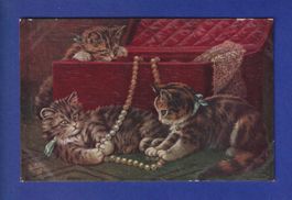 CHAT - Chatons et coffre à bijou