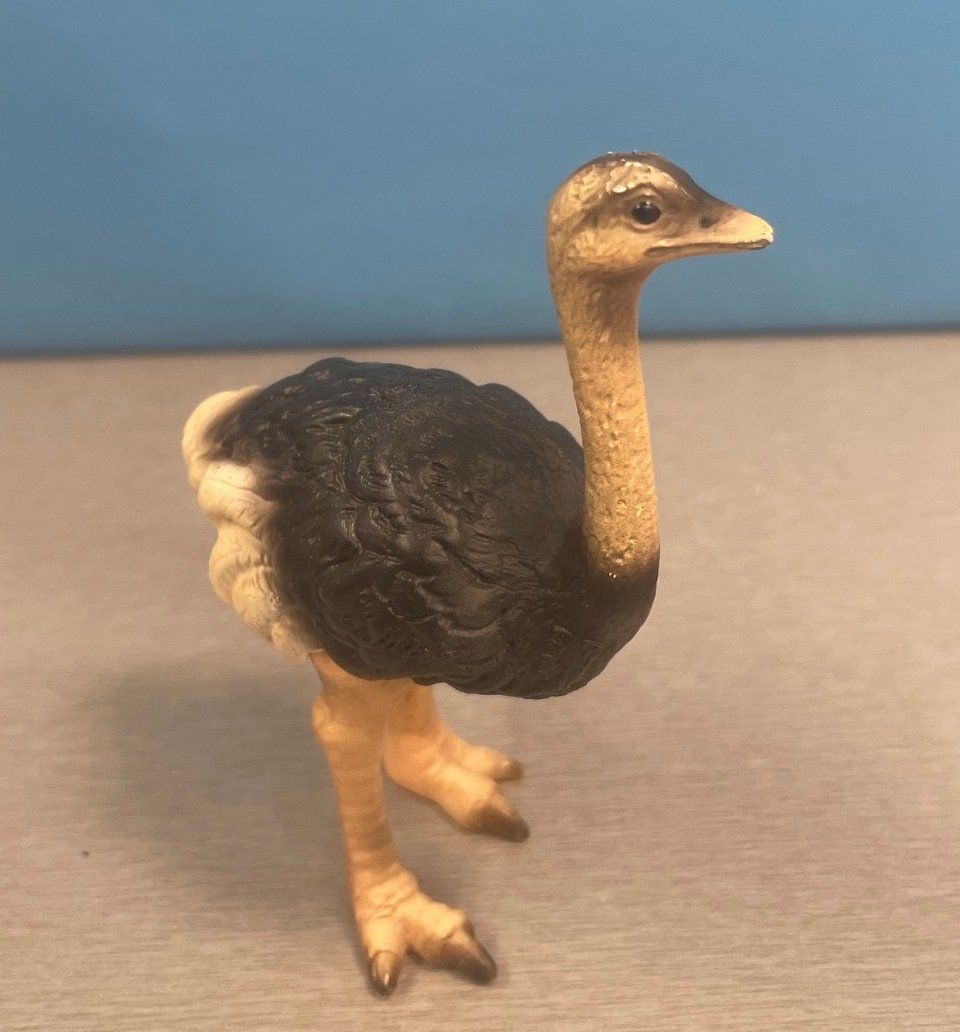Schleich Spielzeuge: Schleich Strauss – Gebraucht aus Sirnach von sagrotin 2
