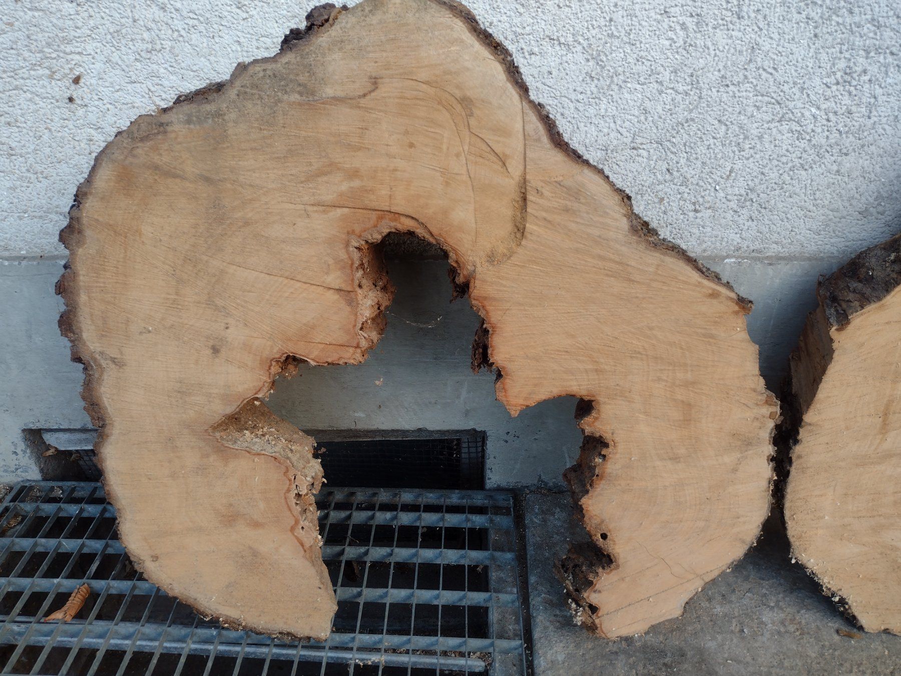 Holzartikel: Baumscheiben aus Birnbaum – Gebraucht aus Dinhard von Mittelstenweiler 1