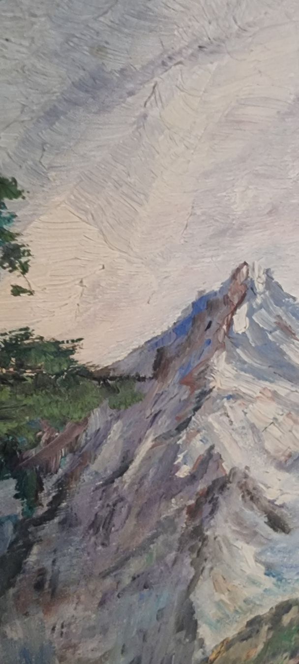 Tableaux: Bild Ölbild Gemälde 55 cm x 65 cm – D'occasion à Winterthur par Einkaufszentrum 4