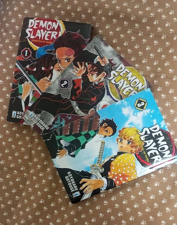 Fumetti: Demon Slayer 1, 2 e 3 – Usato da Caslano venduto da Dr.Bread