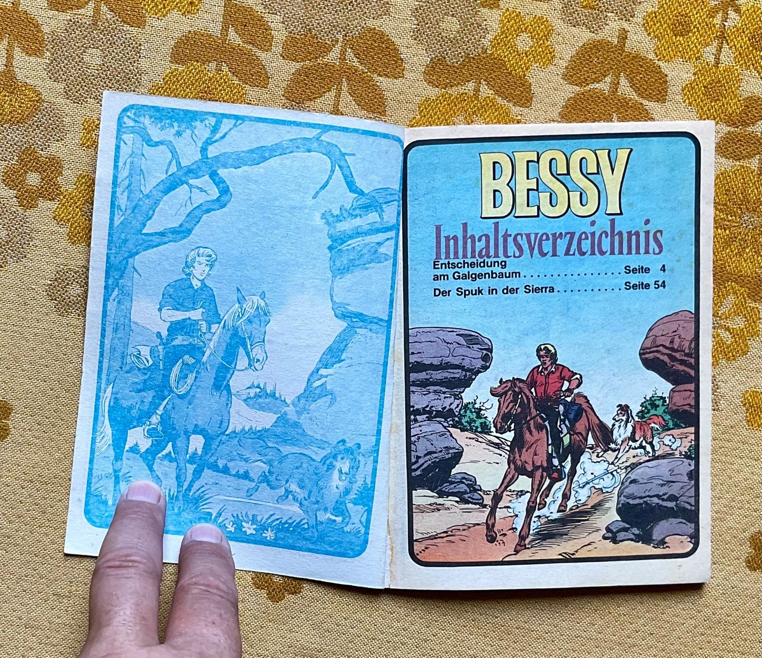 Fumetti: Bessy Taschenbuch Nr 16 – Usato da Endingen venduto da nathan05 2