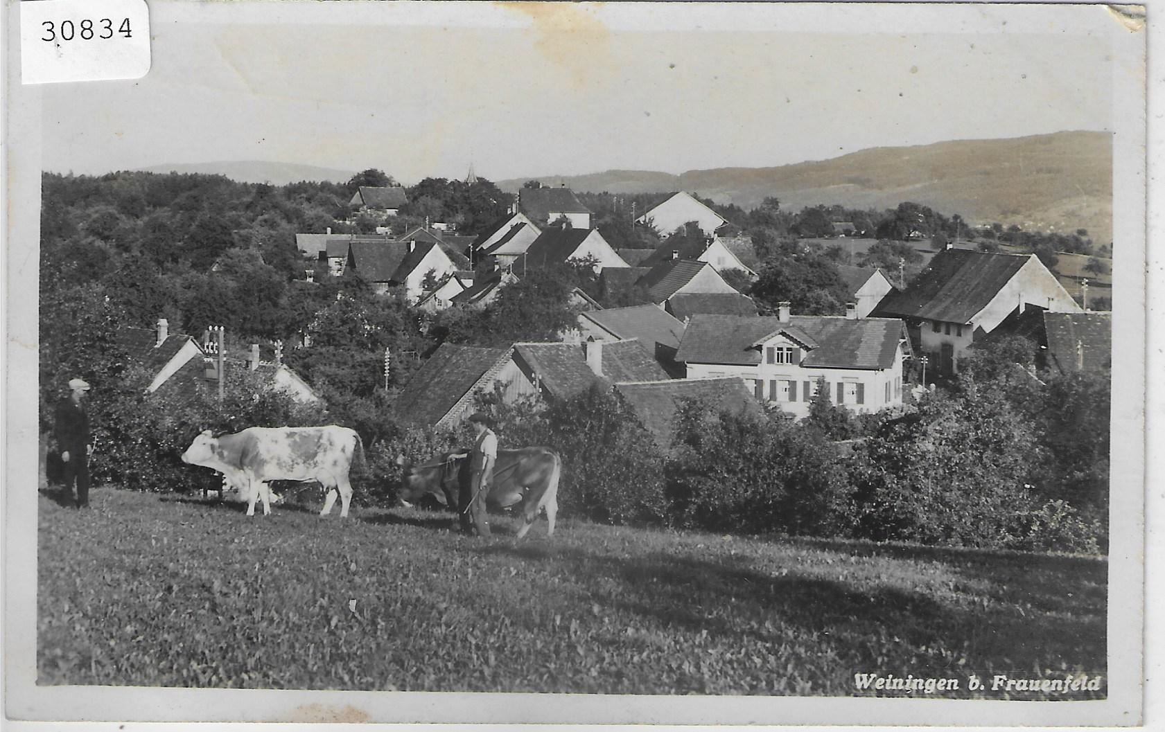 Cartoline postali: Weiningen bei Frauenfeld - animee – Usato da Ettingen venduto da Kartenplanet